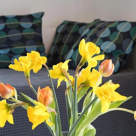 Apartmenthaus Frauenpreiss 54 *