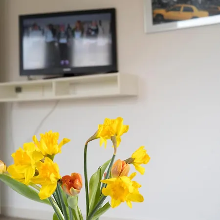 Apartmenthaus Frauenpreiss 54 쿡스하펜